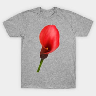 Striking Red Calla Lily for Flower Lovers T-Shirt